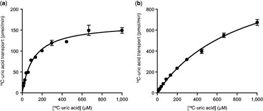 Human URAT1 is a high affinity/low capacity uric acid transporter. Uric acid transport activity for human (a) and rat (b) URAT1. Transfected HEK-293T cells were incubated for 1 min with different amounts of uric acid as described in Materials and Methods.