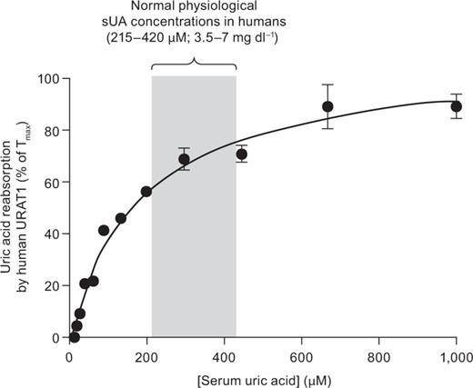 Human URAT1 evolution to regulate sUA levels. Results from figure 1a are shown, except the physiologic parameters of renal uric acid reabsorption and sUA concentrations are used to express the rate of uric acid transport relative to sUA concentration. At low uric acid levels (<215 µM), the high-affinity/low-capacity transporter is very active at uric acid reabsorption, whereas at high uric acid levels (>420 µM), the transporter is highly saturated and thus unable to transport most of the uric acid. This characteristic allows human URAT1 to more tightly control sUA levels. See Discussion for more details.