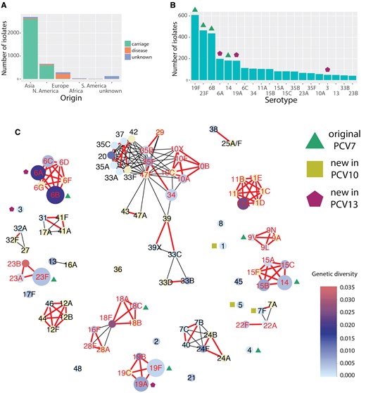 Properties of the dataset. (A) The distribution of the number of isolates stratified by geographical location and the source of isolation (carriage, disease or unknown). (B) The distribution of the number isolates stratified by the serotypes (top 20 shown). (C) A diversity network, where each node is represented by a cps reference sequence and an edge links two nodes if they are similar, i.e., share a minimum proportion s of the homologies. Red, bold edges show the conservative network where the minimum similarity was defined as sharing at least s = 0.58 of homology groups (see Materials and Methods). Black edges show the additional connections obtained in a liberal network, where the minimum similarity was defined as sharing at least s = 0.36 of homology groups. The size of each node reflects the full sample size, and the color shows the within-serotype cps genetic diversity measured using the mean pairwise Kimura K80 distance for all nonidentical isolates (full diversity distribution is shown in supplementary fig. S4, Supplementary Material online). Red labels of serotype nodes denote genetic serogroups which are analyzed in detail below.