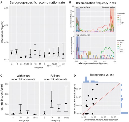 Recombination rates within the cps locus. (A) Recombination rates estimated for the 12 serogroups used in this study, with the relevant 95% confidence intervals. By definition these rates do not include long, cps-spanning recombinations which are invisible from the point of view of cps alignment. (B) Frequency of recombinations observed at the cps locus, with different colors showing number of recombinations for different serogroups, with rhamnose genes (top) and without rhamnose genes (bottom). Recombination positions were normalized such that total alignment length was 1 in all serogroups. Additionally, for the sake of comparison, the upstream wg-region (blue) and the rhamnose region (red) were normalized to 10% of the length each. (C) Recombination frequency measured using whole-genome approach, with within-cps events (left) versus full-cps events (right). (D) Recombination rate at the genomic background (excluding events at the cps) versus recombination rate of events affecting the cps, estimated from whole-genome alignments. Lineages of predominantly the same serogroup (80%) were chosen. The rates were normalized per base using mean alignment lengths of whole-genome and cps, respectively. The y = x line is shown in red, and marginal distributions are shown in blue.