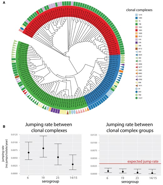 Lineage-jumping dynamics. (A) Dendogram based on the phylogeny of serogroup 6. Tips are grouped according to the three major populations identified: class-I 6A clade (green), 6C/6D clade (blue) and class-II 6B clade (red). Geometric shapes aligned with the tips denote the corresponding clonal complexes of the strains in which the serotype sequence was found. The clades of the tree with branch lengths shorter than 9 × 10−5 were collapsed and the most frequent lineage within the clade was plotted. (B) Lineage-jumping rates inferred for the four most frequent serogroups (6, 19, 23 and 14/15) with lineages defined as clonal complexes (CC; left) and as clonal complex groups (CCG; right). The red line shows the CCG jumping rate expected based on the observed CC jumping rate and the assumption that changes between all pairs of CC are equally likely. Mean estimate and the 95% of the highest posterior density is shown.