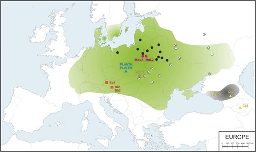 Map of
Western Europe showing the putative historical range of Lowland wisent
(shaded green) and Caucasian wisent (shaded grey) based on bone remains
and written records (according to Benecke 2005; Kuemmerle et al. 2011; Tokarska et al. 2011; Bocherens et al. 2015) and sample locations.
Black circles indicate contemporary free-ranging modern L line herds and
white circles indicate modern LC line herds. Purple and peach circles
denote the locations of investigated modern L (MdL1, MdL2) and LC (MdLC)
line wisent, respectively, orange squares show the location of the
Holocene Lowland wisent (Bb1–3) and blue and yellow triangles
indicate historical founding wisent from the Pszczyna population (PLANTA
and PLATEN) and the extinct Caucasian wisent (Cc1–3),
respectively.