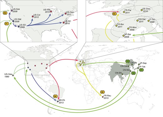 Worldwide invasion scenario of D. suzukii inferred from microsatellite data and date of first observation. Map and schematic showing sample sites and the invasion routes taken by D. suzukii, as reconstructed by ABC-RF (Pudlo et al. 2016) on a total of 685 individuals from 23 geographic locations genotyped at 25 microsatellite loci (see results and methods for details). The native range is in dark grey, and the invasive range is in light-gray (cf. delimitation from fig. 1 in Asplen et al. 2015). The year in which D. suzukii was first observed at each sample site is indicated in italics. The 23 geographical locations that were sampled are represented by circles (native range), and squares, diamonds and triangles (introduced range). Squares indicate populations that experienced weak bottlenecks (i.e., median value of bottleneck severity < 0.12, see main text and table 3), diamonds indicate moderate bottlenecks (0.12 < bottleneck severity < 0.22) and triangles indicate strong bottlenecks (i.e., bottleneck severity > 0.3). The colors of the symbol for the sample sites and arrows between them correspond to the different genetic groups obtained using the clustering method BAPS (supplementary appendix S1, Supplementary Material online). The arrows indicate the most probable invasion pathways. A1–A5 indicate five separate admixture events between different sources. O1–O3 indicate the most probable sources within the native range for the primary introduction events. A1 = Hawaii + southeast China; A2 = Watsonville (western US) + Hawaii; A3 = southern Europe + eastern US; A4 = western US + eastern US; A5 = southern Europe + northern Europe. O1 = Japan; O2 = southeast China; O3 = northeast China.