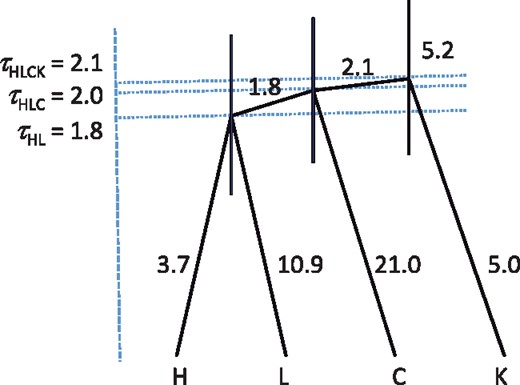 The MAP species tree for four brown frog species/populations, showing the parameter estimates (×10−3). The branch lengths represent the posterior means of divergence times (τs), while the node bars show the 95% HPD intervals. Posterior means of θs are shown along the branches. The priors used in the analysis are θ ∼ IG(3, 0.002) for all populations and τKCLH ∼ IG(3, 0.004) for the root age. The tree is drawn with FigTree using the BPP output FigTree.tre.