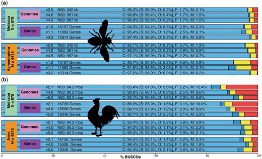基因组数据质量控制的BUSCO完整性评估。利用后生动物、膜翅目和鸟类谱系数据集评估（a）蜜蜂和（b）鸡基因组及其注释基因集的初始、中间和最新版本。用BUSCO绘图工具绘制的条形图显示的比例分为完整比例（C，蓝色）、完整单副本比例（S，浅蓝色）、完全重复比例（D，深蓝色）、碎片比例（F，黄色）和缺失比例（M，红色）。 