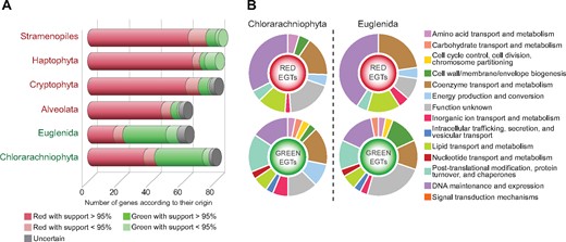Genes of red and green algal ancestry in secondary photosynthetic eukaryotes. (A) Number of red or green algal-like genes in each lineage among the 82 genes analyzed classified according to their origin and statistical support in phylogenetic trees (supplementary figs. S1–S82, Supplementary Material online). (B) Gene functions of the “red” and “green” genes detected in transcriptomes and nuclear genomes of chlorarachniophytes and euglenids.