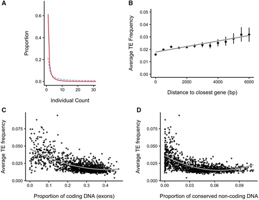 Patterns of TE insertion frequency from population data. (A) Frequency spectrum of TEs (full line) and 4-fold SNPs (dashed line). (B) Relationship between TE frequency and distance to the closest gene. The first point represents the average frequency of all TEs which are within a protein-coding gene. Subsequent points average the frequency of all TEs in 500 bp windows from the closest gene. Error lines are bootstrap confidence limits from the mean_cl_boot() function in ggplot2 (Wickham 2016). The gray line shows a linear model fit through the data. (C and D) Relationship between average TE frequency and proportion of (C) coding DNA and (D) conserved noncoding sequence (CNS) in 100 kb windows across the genome. The gray curve shows a quadratic model fit. Spearman’s ρ = −0.562 in (C) and −0.619 in (D).