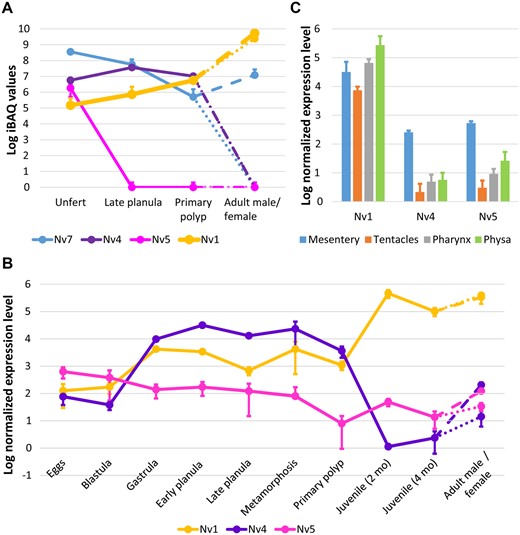 Spatiotemporal dynamics of expression among Nv1 homologs. (A) Proteomic dynamics of Nv1-like peptides measured by LC-MS/MS. (B) Transcriptional dynamics of Nv4 and Nv5 measured by nCounter platform. (C) Transcription levels of Nv4 and Nv5 in adult female tissues. In all the three plots (A–C) error bars represent standard deviations. In the panels A and B, values for adult females are shown with dash lines, and for adult males—with dotted lines. Values for Nv1 are from Columbus-Shenkar et al. (2018) apart from the eggs stage at panel A that was measured in the current work.