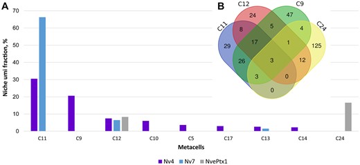 Different types of ectodermal gland cells produce venom components in Nematostella larvae according to single cell RNAseq data analyses (Sebe-Pedros et al. 2018). (A) Distribution of Nv4, Nv7, and NvePtx1 expression between different larval metacells. (B) Venn diagram of genes expressed in C9, C11, C12, and C24, the metacells engaged the most into toxin production. Only three genes are shared between all the four metacells. The diagram was created using DrawVennDiagram online tool (http://bioinformatics.psb.ugent.be/webtools/Venn/; Last accessed on June 1, 2019).