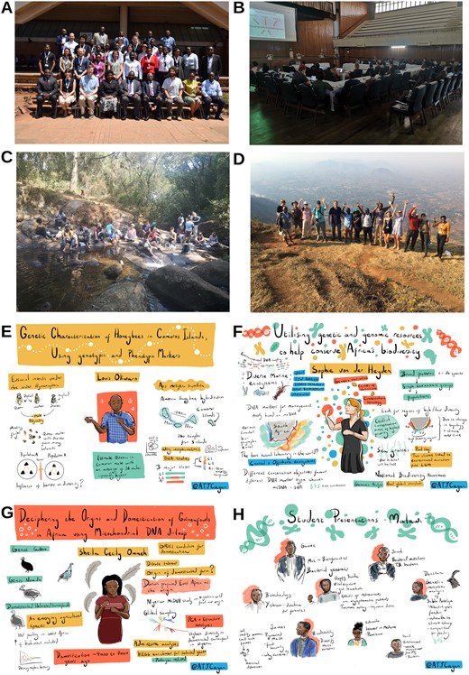 Impressions from the SMBE Malawi regional meeting. (a) Some of the attendees on the first day of the meeting. (b) A key note presentation in Great Hall, Chancellor College. (c) Rest at a creek during a hike at Zomba plateau by the SMBE Malawi participants. (d) Some participants waving at the top of Zomba plateau. (e–h) Examples of graphical abstracts captured by A.C. A full list of sketches can be found at: https://smbe-malawi.org/talk-illustrations-by-alex-cagan/ (last accessed May 08, 2020; after February 2021, accessible at: http://smbemalawi.wordpress.com/talk-illustrations-by-alex-cagan/).