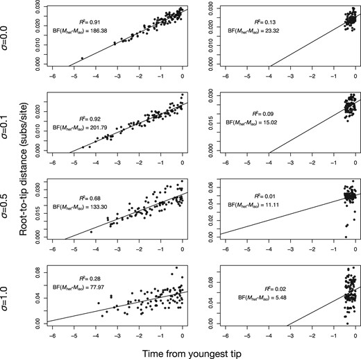 Root-to-tip regressions for a subset of data sets simulated with varying degrees of among-lineage rate variation (governed by the SD σ of a lognormal distribution), using a high evolutionary rate and either a wide or narrow sampling window. The y-axis is the root-to-tip distance and the x-axis is the time from the youngest tip, where 0 is the present. Each point corresponds to a tip in the tree and the solid line is the best-fit linear regression using least-squares. The coefficient of determination, R2, is shown in each case. For comparison, the log Bayes factors of the best heterochronous model relative to the best isochronous model, BF(Mhet–Miso), are also shown.