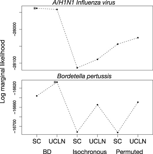 Log marginal likelihoods estimated using generalized stepping-stone sampling for six analysis settings for sequence data from rapidly evolving pathogens, A/H1N1 Human influenza virus and Bordetella pertussis. The y-axis is the log marginal likelihood and the x-axis shows the analysis settings, with two clock models, strict clock (SC) and the uncorrelated relaxed clock with an underlying lognormal distribution (UCLN), and three settings for sampling times: generated under the birth–death process (BD), identical sampling times (Isochronous), and permuted (Permuted). Solid points and dashed lines correspond to the log marginal-likelihood estimates. The asterisk denotes the model with the highest log marginal likelihood.