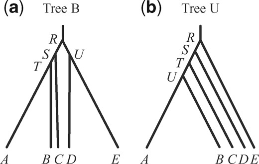 Species trees B and U for five species (A,B,C,D, and E) used to simulate data for the A01 analyses. For balanced species tree B, the parameters used are τR = 5θ, τS = 4.8θ, τT = 4.7θ, and τU = 4.8θ. For unbalanced species tree U, we used τR = 5θ, τS = 4.8θ, τT = 4.6θ, and τU = 4.4θ. In each tree, two values of θ are used: 0.0025 and 0.01.