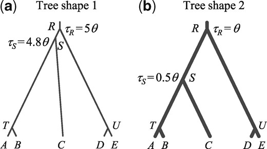 The true species trees or MSC models used in the simulation for species delimitation. There are five populations (A,B,C,D, and E) and three species (AB, C, and DE) in the true model. Data are simulated by assuming the tree of five populations with τT and τU set to very small values (=10−50θ), and then analyzed to infer both the species delimitation and species phylogeny (the A11 analysis, Yang 2015). Two sets of parameters are used to represent different tree shapes: (a) τR=5θ and τS=4.8θ and (b) τR=θ and τS=0.5θ. The thickness of the branches indicates the population sizes (θs) relative to the species divergence times (τs). Two values are used for θ: 0.0025 or 0.01.