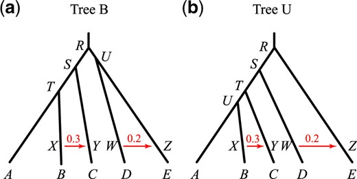Two introgression (MSci) models used in the simulation. The parameters for tree B are τR = 5θ, τS = 4θ, τT = 3θ, τU = 4.5θ, τX=τY=θ, and τW=τZ=θ, whereas those for tree U are τR = 5θ, τS = 4θ, τT = 3θ, τU = 2.5θ, τX=τY=θ, and τW=τZ=θ. In both trees, we have φY=0.3 and φZ=0.2 and use two values for θ: 0.0025 or 0.01.