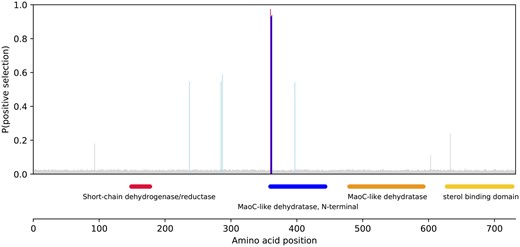 Likelihood of positive selection for each codon in P. retropinna peroxisomal multifunctional enzyme 2. Conserved domains are plotted on the bottom panel. Color codes for probability of positive selection: red > 95% > blue > 90% > light blue > 50% > gray.