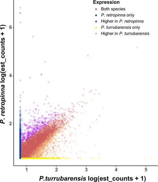 Placental genes expressed in matrotrophic and lecithotrophic Poeciliopsis species. Comparison of the genes expressed in the Poeciliopsis retropinna maternal follicle (y axis) and the P. turrubarensis maternal follicle (x axis) by log-transformed estimated counts. Blue points are genes expressed only in the P. retropinna maternal follicle (n = 1,640), purple points are genes with significantly higher expression in the P. retropinna maternal follicle (n = 357), yellow points are genes expressed only in the P. turrubarensis maternal follicle (n = 1,539), orange points are genes with significantly higher expression in the P. turrubarensis maternal follicle (n = 1,016), and red points are genes with similar expression in the maternal follicle of both species (n = 4,771).