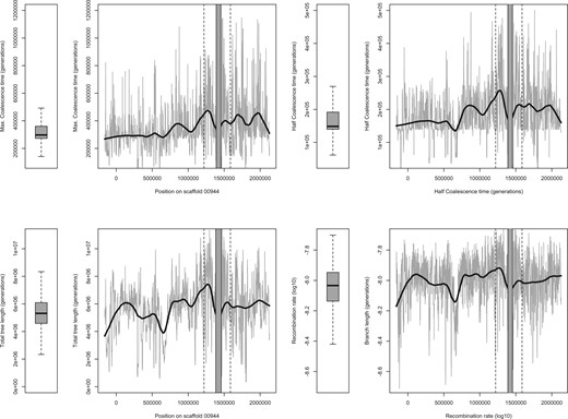 Coalescence analysis for 1-kb windows across the resistance region (indicated by flanking vertical dotted lines). Coalescence times are given in equivalent generations (sexual + asexual). Approximate times in years can be obtained by dividing by ten, assuming ten generations a year. Boxplots summarize the distribution of statistics from two other large scaffolds (00024 and 00512) totaling more than 6 Mb. Half-coalescence time is defined as the minimum time at which half of the lineages coalesce (see main text). Total tree length corresponds to the average sum of all branches in genealogies of nonrecombining blocks. Recombination rates are estimated by ARGWeaver and log10 transformed.
