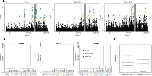 Scan for balancing selection in the resistance region and flanking sites. (A) Results from the Beta scan analysis. Light green points indicate the highest 1% of scores genome wide, whereas large dark green dots indicate those among the top 0.5%. (B) Local topologies obtained from ARGWeaver for nonrecombining blocks overlapping with SNPs at the three peaks are highlighted in (A). (C) Mantel’s correlation coefficients obtained by comparing the matrix of geographical distance between clones with 5,000 matrices of phylogenetic distance inferred from 5,000 trees randomly sampled across scaffolds of the genome.
