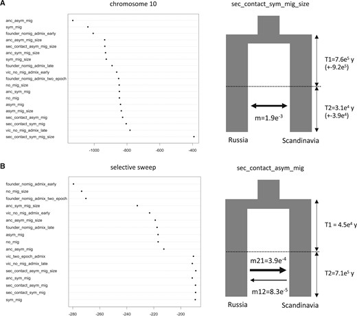 Likelihood of demographic models based on the SNP data. (A) Modeling using SNPs observed along chromosome 10, where the most strongly supported model included divergence in isolation with continuous symmetrical secondary contact and an instantaneous size change (sec_contact_sym_mig_size). (B) Modeling using SNPs comprised within the selective sweep in chromosome 10. At the sweep level several models were equally supported, with divergence in isolation with continuous asymmetrical secondary contact (with or without instantaneous size change) being the most significant models. Extrapolating the results of these simulations to time units showed that secondary contact between Russian and Scandinavian populations was dated to around 30 ka (±3.9e4), whereas the divergence of both lineages occurred 760 ka. Given the type of sites considered in panel B, the conversion of divergence times should neither be compared with the results from the entire chromosome, nor taken as actual divergence of the populations; Ne estimations are shown in supplementary table 5, Supplementary Material online.