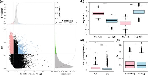 Genomic regions with selective sweep signals in two oyster species Crassostrea gigas and C. angulata. (a) Distribution of θπ ratios (θπ,Ca/θπ,Cg) and FST values, which are calculated in 10-kb windows sliding in 1-kb steps. Data points located above the horizontal dashed line (the 5% right tail of the empirical FST distribution, where FST is 0.22), and to the left and right of the left and right vertical dashed lines (corresponding to the 5% left and right tails of the empirical θπ ratio distribution, where the θπ ratios are 0.67 and 1.19, respectively), were identified as regions under selection in southern C. angulata (pink points) and northern C. gigas (light blue points), respectively. (b) Selection statistics of Tajima’s D in right and left selective regions for each species. (c) Transcriptional plasticity (log2-fold change of expression between two habitats) of genes under selected in response to environmental transplantation in two species. (d) FST values for coding and noncoding regions of genes under selection between the two species (pink and light blue points of panel a). Cg, C. gigas; Ca, C. angulata. Asterisks indicate significant differences (*P < 0.05 and ***P < 0.001).