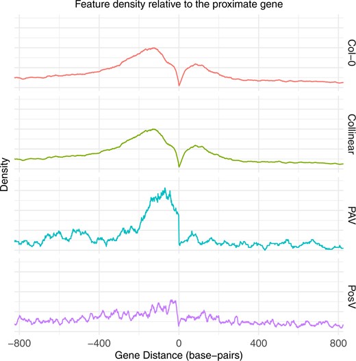 Distributions of different CNS features relative to their proximate gene are shown, where the x-coordinate zero represents the location of the proximate gene. The top panel (red) shows all CNS in the reference accession Col-0. The second panel (green) shows across all accessions the distribution of CNS that remain in the same syntenic position as the reference accession (collinear CNS). The next panel (blue) shows the position in the reference accession where PAV CNS are located, i.e. the position in Col-0 where CNS display PAV in any of the thirty accessions. The fourth row (purple) shows the position of PosV CNS across all accessions, i.e. the location to which these CNS “moved”.