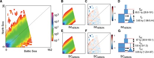 Inferred demographic history and model fit from the two models with highest support. Observed jAFS (A), modeled jAFS (B and E), model residuals (C and F), and parameters (D and G) for the two best models. (B) modeled jAFS, (C) residuals, and (D) graphical representation of the isolation with migration model including a bottleneck in the Baltic Sea population, an ancestral change in Ne and heterogenous Ne across the genome (IMAEB2N model) as well as estimated time parameters with 95% confidence intervals. (E) modeled jAFS, (F) residuals, and (G) graphical representation of the secondary contact model including a bottleneck in the Baltic Sea population, an ancestral change in Ne and heterogenous Ne across the genome (SCAEB2N model) as well as estimated time parameters with 95% confidence intervals estimated from the Godambe Information Matrix.