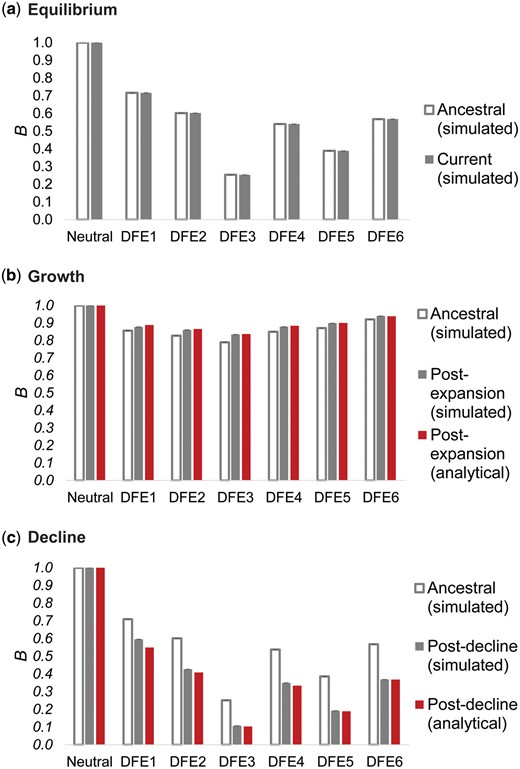 Nucleotide site diversity with BGS (B) relative to its purely neutral expectation (π0) for varying DFEs (specified in table 1) and demographic scenarios. The results are shown for (a) demographic equilibrium, (b) population growth, and (c) population decline. All cases refer to size changes forward in time, the ancestral B (i.e., B pre-change in population size) is shown in white bars, B post-change in population size is shown in solid gray bars, and the analytical expectations for the post-size change B are shown as red bars. Exonic sites comprised ∼10% of the genome, roughly mimicking the density of the human genome. Detailed methods including command lines can be found at: https://github.com/paruljohri/demographic_inference_with_selection/blob/main/CommandLines/Figure4.txt.