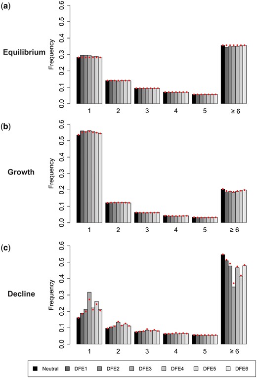 The site frequency spectrum (SFS) of derived allele frequencies at neutral sites from ten diploid genomes under (a) demographic equilibrium, (b) population growth, and (c) population decline, under the same DFEs as shown in figure 4. The x-axis indicates the number of sampled alleles (out of 20) carrying the derived variant. Exonic sites comprised ∼10% of the genome, roughly mimicking the density of the human genome. The red solid circles give the values predicted analytically with a purely neutral model, but correcting for BGS by using the B values of the ancestral population (i.e., pre-change in population size) obtained from simulations, in order to quantify the effective population size. Detailed methods including command lines can be found at: https://github.com/paruljohri/demographic_inference_with_selection/blob/main/CommandLines/Figure5.txt.