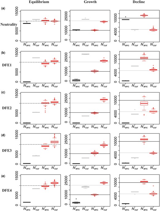 Comparison of estimates of ancestral (Nanc) and current (Ncur) population sizes when assuming neutrality versus when varying the DFE shape as a nuisance parameter, using an ABC framework. Inference is shown for demographic equilibrium (left column), 2-fold exponential growth (middle column), and 2-fold population decline (right column), for five separate DFE shapes that define the extent of direct purifying selection acting on the genomic segment for which demographic inference is performed: (a) neutrality, (b) DFE1, (c) DFE2, (d) DFE3, and (e) DFE4 (see table 1). In each case, the horizontal lines give the true values (black for Nanc and gray for Ncur) and the box-plots give the estimated values. Black and gray boxes represent estimates when assuming neutrality, whereas red boxes represent estimates when the DFE is treated as a nuisance parameter. Detailed methods including command lines can be found at: https://github.com/paruljohri/demographic_inference_with_selection/blob/main/CommandLines/Figure6.txt.