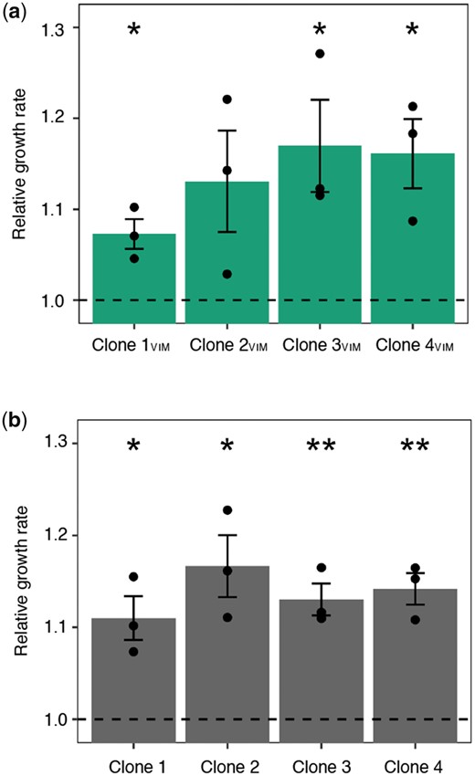 Fitness-improved adapted backgrounds. Exponential growth rates of (a) coevolved pG06-VIM-1-carrying strains relative to strain ExPEC+VIM and (each comparison n = 3) (b) coevolved pG06-VIM-1 segregants relative to ancestral strain ExPEC (each comparison n = 3). Significant fitness changes are indicated by asterisks (P = * < 0.05, ** < 0.01, *** < 0.001; one-sample t-test, one-sided). Error bars indicate ±SEM.
