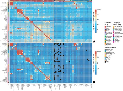 Haplotype sharing profiles as inferred by the ChromoPainter and IBD analyses. The color bars at the top denote the countries and language families while the color bars at the left denote countries and subgroups, according to the keys. (A) Heatmap of ChromoPainter results in which the recipient Y (Thai/Lao groups) is painted by donor X (Thai/Lao and other modern Asian populations), with Y denoted by each row and X denoted by each column. The heatmap is scaled by the average length in centimorgans of the summed painted chromosomal chunks of the recipient individuals from the donor individuals. (B) Heatmap of IBD sharing among Thai/Lao comparisons and between Thai/Lao and other modern Asian populations. The heatmap is scaled by the average length in centimorgans of summed IBD blocks shared between individuals from the two groups. Black blocks denote missing values.