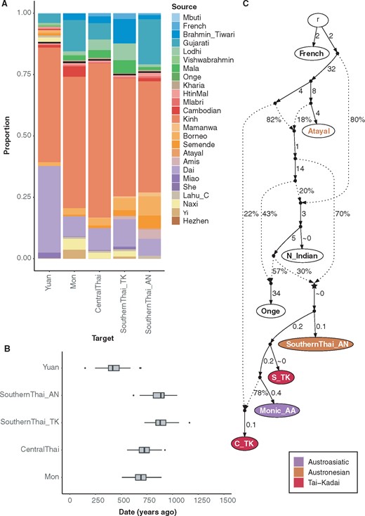 Investigation of putative SA-related admixture. (A) GLOBETROTTER estimation of admixture sources for four Thai groups (Mon, Central Thai, SouthernThai_TK, and SouthernThai_AN) with putative SA-related ancestry, and for the Yuan group as a control without putative SA-related ancestry. Different sources are denoted by different colors. (B) GLOBETROTTER estimates of the admixture date in the SA-influenced Thai groups. Results are based on 100 bootstraps. (C) Admixture graph for the Thai groups with SA-related admixture (worst-fitting Z = −1.646). The node r denotes the root. White nodes denote backbone populations. The star-shaped node denotes the N_Indian-related source contributing to all of the SA-related Thai groups. Backbone population labels and Thai nodes are colored according to language family. Dashed arrows represent admixture edges, while solid arrows are drift edges reported in units of FST × 1,000.