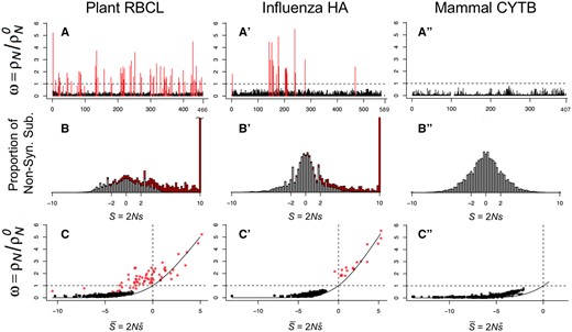 Analysis of proteins under the PPS mutation–selection model. (A–A″) Estimates of ω at protein sites. (B–B″) Distribution of selection coefficients among nonsynonymous substitutions. (C–C″) Relationship between ω and average selection (S¯) at protein sites. Sites under PPS (Zk>0) are indicated in red in A–A″ and C–C″, and their contribution to the distribution of selection coefficients indicated in red in B–B″. In C–C′, the solid line is equation (1). The penalty on Zk is λ=0.001.