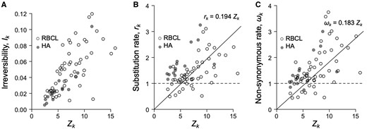Relationship between Zk and evolutionary parameters for PPS sites in HA and rbcL. (A) Irreversibility index, Ik, versus Zk. The index is normalized to give the expected excess number of substitutions from detailed balance. (B) Site substitution rate, rk=−∑iπkqii,k, versus Zk. Note the qij,k are scaled so that they give the relative rate with respect to a neutral sequence (Tamuri et al. 2014). Thus, if rk = 1, then the site evolves at the same rate as, say, a pseudogene. (C) Nonsynonymous rate, ωk versus Zk. The penalty on Zk is λ=0.001 in all cases.