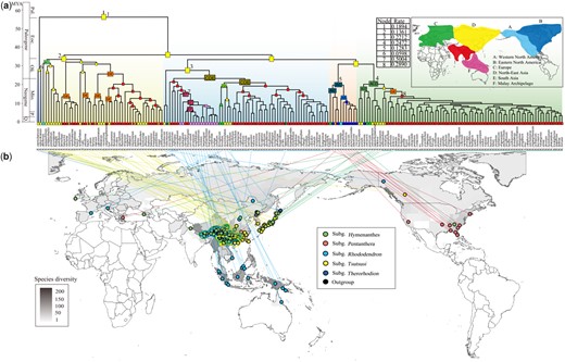 Ancestral range estimates of Rhododendron. (a) Divergence times estimated using RelTime based on the concatenated CDS sequences of 3,437 OGs, and the ancestral areas reconstructed by BioGeoBEARS using the DEC model. The probabilities for the ancestral ranges are illustrated in rectangles color-coded by geographical regions on the world map. Diversification rates are noted on the tree with numbers corresponding to those in the table above the phylogeny. Pal., Paleocene; Eoc., Eocene; Oli., Oligocene; Mio., Miocene; P., Pliocene; Q., Quaternary. (b) Sample collection sites. The coordinates of the collection sites of 202 species are mapped to the world map of Rhododendron species diversity, which was constructed by the recorded species distributions at the administrative unit level. The colored solid circles in front of the names of subgenera correspond to the colored background on the chronogram.