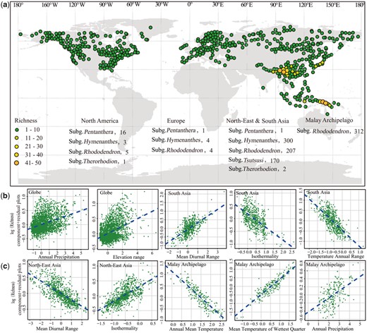 Global patterns of Rhododendron species diversity and the species composition in each geographical region (a), and the correlations between species richness and environmental variables at the global and regional (b, c) scales across grid cells of 50 km×50 km.