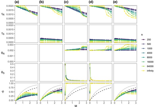 Best-fitting parameter values under the MSci model of figure 1d when data of two sequences per locus (one per species), each of n sites, are generated under the IM model of figure 1a. Five methods (a-e) are used to fit the MSci model, estimating 2, 3, 4, 5, and 4 parameters, respectively, whereas the other parameters are fixed. In (a), τR and φ are estimated, but θR and θS are fixed at their true values in the IM model, and the introgression time τS=τH is fixed at τT=0. In (b), τS is estimated as well. In (c), τS=0 is fixed, whereas the other four parameters are estimated. In (d), all five parameters are estimated. In (e), the constraint θR=θS is enforced so that four free parameters are estimated. The dotted lines for φ indicate the true total amount of introgression of equation (10). The dashed lines indicate φ* of equation (11). The true and best-fitting distributions of the coalescent time (t) are shown in supplementary figure S1, Supplementary Material online.