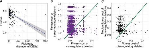 trans-regulatory deletions tend to decrease fitness more than cis-regulatory deletions that affect expression of the same focal gene. (A) The fitness of each gene deletion strain (Maclean et al. 2017) is plotted against the log10 number of significantly differentially expressed genes attributable to the deletion of that gene (Kemmeren et al. 2014). The fit line is a least-squares regression surrounded by the 95% confidence interval. (B) For every focal gene, one minus the fitness of each trans-regulatory deletion (signifying the fitness cost of the mutation) is plotted on the y-axis and the fitness cost of the cis-regulatory deletion is plotted on the x-axis. Each focal gene thus has one x value and many y values. An x = y line, corresponding to equal fitness of cis- and trans-regulatory deletions, is shown. (C) For all focal genes, the median fitness cost of all trans-regulatory deletions for that gene is plotted on the y-axis and the fitness cost of the cis-regulatory deletion is plotted on the x-axis. An x = y line is shown.