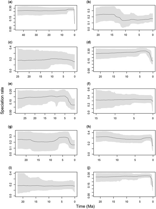 Inferred patterns of speciation rate through time among complete timetrees of the seven largest families of suboscine birds. All timetrees are derived from Harvey et al. (2020), and therefore share an underlying sampling fraction and genomic alignment. (a) Full timetree, (b) Cotingidae (79 tips), (c) Formicariidae (21 tips), (d) Furnariidae (381 tips), (e) Grallariidae (66 tips), (f) Pipridae (61 tips), (g) Rhinocryptidae (80 tips), (h) Thamnophilidae (356 tips), (i) Tityridae (37 tips), (j) Tyrannidae (542 tips).
