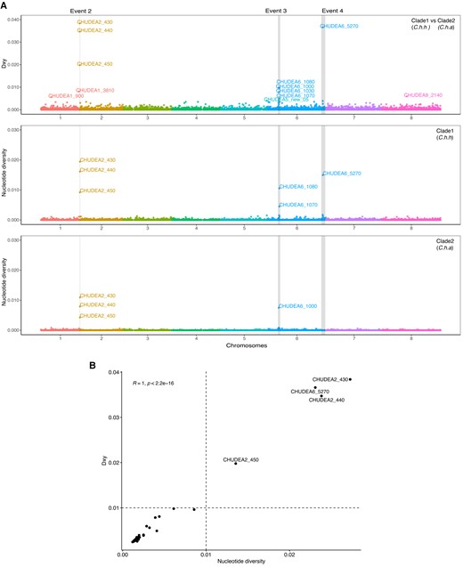 Population genetic analyses of GIPVs. (A) Population genetic and divergence analyses of introgressed regions. X-axis represents genomic positions of eight chromosomes highlighted with different colors. Population divergence (Dxy) between Cryptosporidium hominis hominis (clade 1) and Cryptosporidium hominis aquapotentis (clade 2) for each gene were plotted on Y-axis (top panel). Nucleotide diversity (π) for C. h. hominis (middle panel) and C. h. aquapotentis (bottom panel) for each gene, was also plotted on Y-axis, respectively. The breakpoints of four recombination events (event 1–4) were indicated by gray vertical boxes. Event 1 was undetected in C. h. aquapotentis. (B) Correlation between π and Dxy were plotted to identify polymorphic and potential virulence genes.