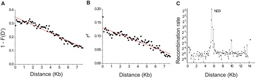 Linkage-disequilibrium profile for population RAP (from D. obtusa). (A) Relationship between the fraction of pairs of informative markers for which the four possible haplotypes are present, F(D′), and the physical distance between biallelic sites (slope = (−2.933 ± 0.009) × 10−5, P < 0.0001). (B) Correlation between linkage-disequilibrium measures, r2, and physical distance between sites (slope = (−1.255 ± 0.053) × 10−5, P < 0.0001). The data were binned into 100-bp windows according to distance, and the average r2 for each bin is plotted. Degree of freedom is n − 1, where n is the total number of bins. For example, for all pairs of biallelic sites with distance between 1 and 100 bp, an average r2 is calculated and plotted, and so on for 101–200 bp, 201–300 bp, etc. For each pair of biallelic sites, minor alleles were required to appear >2 times in the pooled haplotypes to be used in the analysis. (C) Population-level recombination rate, 2Nec, estimated from LDhat (McVean et al. 2002) The x-axis denotes the location on the mitochondrial genome, and the y-axis is the population recombination rate (per kb per generation).