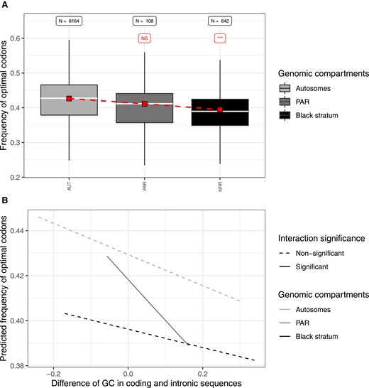 Analysis of the frequency of optimal codons in the a1 genome of Microbotryum silenes-dioicae. (A) Distribution of the frequency of optimal codons across genomic compartments. Boxplot grey shade refers to the genomic compartment. For each genomic compartment, the red square indicates the mean value of the predicted frequency of optimal codons, obtained from the logistic regression explaining the frequency of optimal codons by the genomic compartment, by the difference in GC content between coding (GCexon) and intronic (GCintron) sequences and their interaction. The sample size (N) is labeled on top of the corresponding boxplot, as well as the significance level of the difference between a given genomic compartment and the autosomes in red (NS: nonsignificant; ***P < 0.001) from the logistic regression. (B) Frequency of optimal codons predicted by the logistic regression plotted against the difference in GC content between coding and intronic sequences. From the statistical analysis, significant differences in slope between a genomic compartment and the autosomes are indicated by solid line and filled dots, while nonsignificant interactions are indicated by dotted line and open dots. Similar analyses for all species studied here are presented in supplementary figs. S6 and S7, Supplementary Material online.