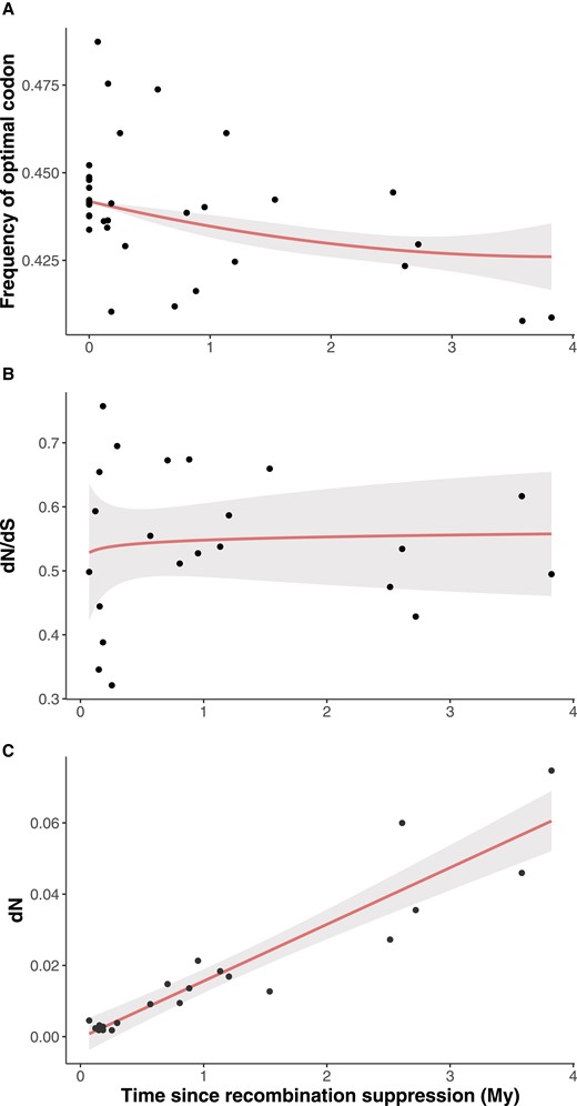 Tempo of degeneration in Microbotryum fungi. (A) Frequency of optimal codons Noptimal/(Noptimal + Nnonoptimal) as a function of time since recombination suppression (in Million years, My). Note that the statistical analyses were performed on the odds of optimal codons (Noptimal/Nnonoptimal) and not the frequency as plotted here. (B) Nonsynonymous over synonymous divergence (dN/dS) between alleles on the two mating-type chromosomes, as a proxy of the strength of purifying selection, as a function of time since recombination suppression (in My). (C) Accumulation of nonsynonymous changes accumulation (dN) between alleles on the two mating-type chromosomes as a function of time since recombination suppression (in My). In all panels, the dots represent the data. Predictions from the models are show as red lines and the 95% confidence intervals of the prediction as grey areas.