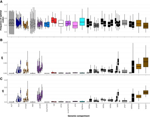 Degeneration in Microbotryum fungi, with values for all genomic compartments and species. Boxplots of frequencies of optimal codons (A) and nonsynonymous differences (dN) between alleles of alternative mating-type chromosomes (B) in all species and all genomic compartments. The X-axis legend correspond to the one in fig. 1C.