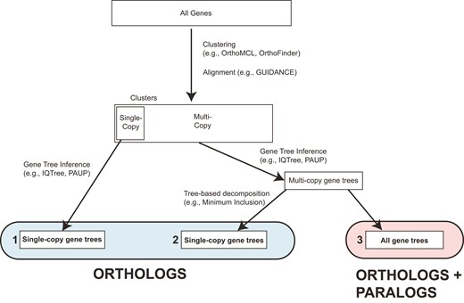 Conceptual overview of methods for inferring species trees from genomic data. We begin with All Genes, clustering them into gene families. We can then use single-copy ortholog clusters for inference (Data set 1), use tree-based decomposition approaches to extract orthologs from all clusters (Data set 2), or infer species trees from all clusters (i.e., from data sets including orthologs and paralogs; Data set 3).