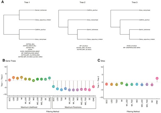 Alternative resolutions of Platyrrhini relationships. (A) The three most common tree topologies. Below each resolution, inference methods and filtering approaches that supported the topology are listed. (B) The percentage of gene trees supporting Tree 1 minus the percentage of gene trees supporting Tree 2 for ML and MP gene trees across data sets. (C) The percentage of sites supporting Tree 1 minus the percentage of sites supporting Tree 2 across data sets. SCC, single-copy clusters; LSD, lineage-specific duplicates; TSD, two-species duplicates; MO, monophyletic outgroup; MI, maximum inclusion; SE, subtree extraction; ONE, one paralogs. Results in B and C from MIN27 data sets.