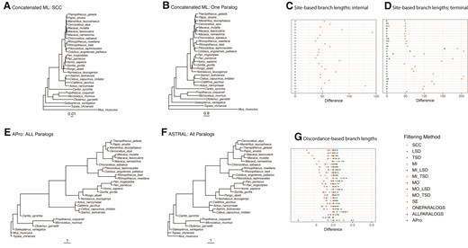 Branch lengths across primate data sets and species tree inference methods. Site-based branch lengths estimated using concatenated ML when (A) SCCs and (B) one randomly selected paralog per species are used for inference. Note the different scales in A and B. (C) Difference between site-based branch lengths for internal branches from the SCC data set and all the other data sets, normalized by SCC branch length. (D) Same as in C, but for terminal branches. Discordance-based branch lengths calculated on the All Paralogs data set when (E) ASTRAL-Pro and (F) ASTRAL-III are used for inference. Note that terminal branch lengths are arbitrary in these panels. (G) Difference between discordance-based branch lengths estimated with ASTRAL-Pro (APro) and all the other methods, normalized by APro branch length. Colors represent different filtering methods, and each row is a different branch. SCC, single-copy clusters; LSD, lineage-specific duplicates; TSD, two-species duplicates; MO, monophyletic outgroup; MI, maximum inclusion; SE, subtree extraction; ONE, one paralogs. Results from MIN27 data sets.