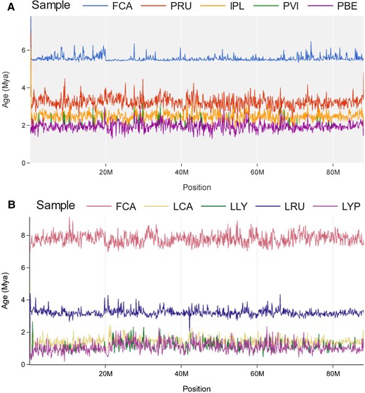 Signal Tracer plots of chromosome D2 for the Lynx (A) and Asian leopard cat (B) lineages with different themes and color palettes. Individual lines represent divergence time estimates (y-axis) of the Domestic cat (FCA), Canada lynx (LCA), Eurasian lynx (LLY), Iberian lynx (LYP), Bobcat (LRU), Rusty-spotted cat (PRU), Flat-headed cat (IPL), Fishing cat (PVI), and Asian leopard cat (PBE) across chromosome D2 (x-axis). Note that the traces for the Asian leopard cat (ALC) and Fishing cat (PVI) are nearly identical and overlap one another throughout the majority of the graph (A). The divergence of the Fishing cat can be seen by identifying deviations in the overlapping signal toward slightly older divergence time estimates.