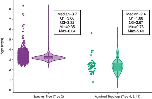 Divergence time estimates of bobcat and Canada lynx in windows with topologies reflecting the species tree (Tree 2) and admixed trees (Tree 4, 9, 11). Divergence times from admixed topologies reflect significantly more dispersed and younger estimates supporting post-speciation gene flow between the Canada lynx and bobcat.
